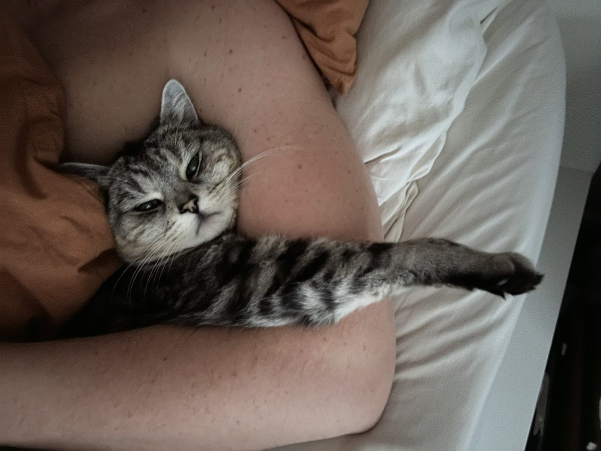 Tim Feeny tweet media