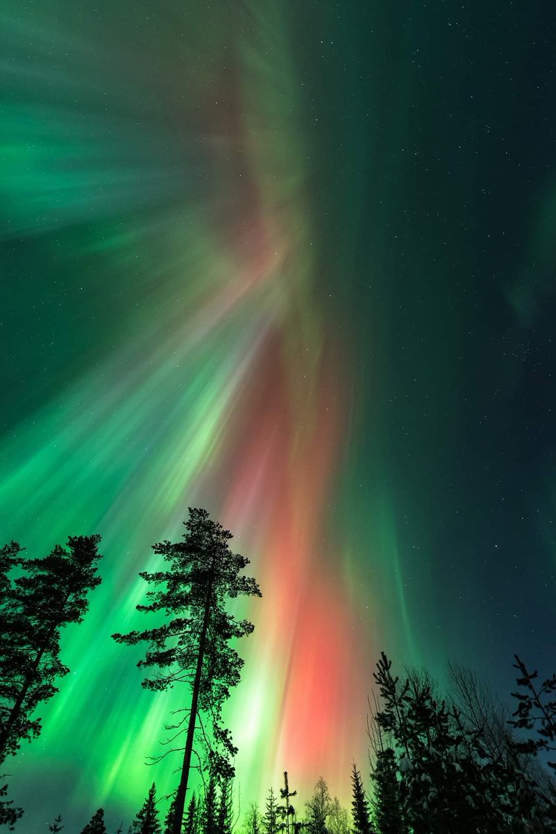 Spockplanet's tweet image. #ClimaEspacial | La magia de las auroras rojas en Islandia 🇮🇸. Un espectáculo único e inigualable! ✨🖖