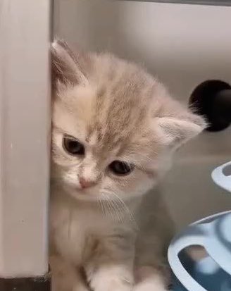 ilypape's tweet image. น่ารักเป็นรูทีน