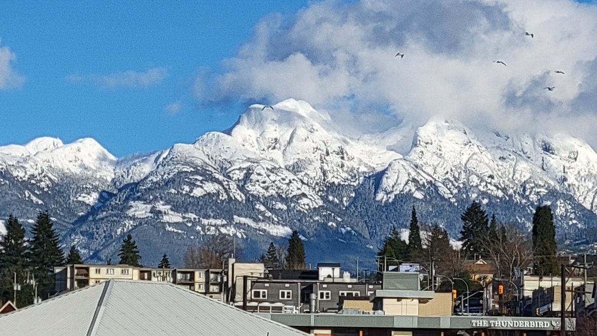 fulloflite's tweet image. It is one of those days, spring is teasingly near.