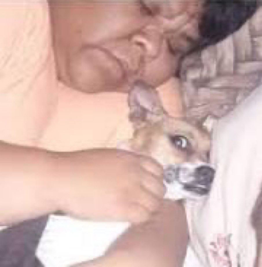 yo obligando a mi mascota a dormir conmigo pq me siento solo:
