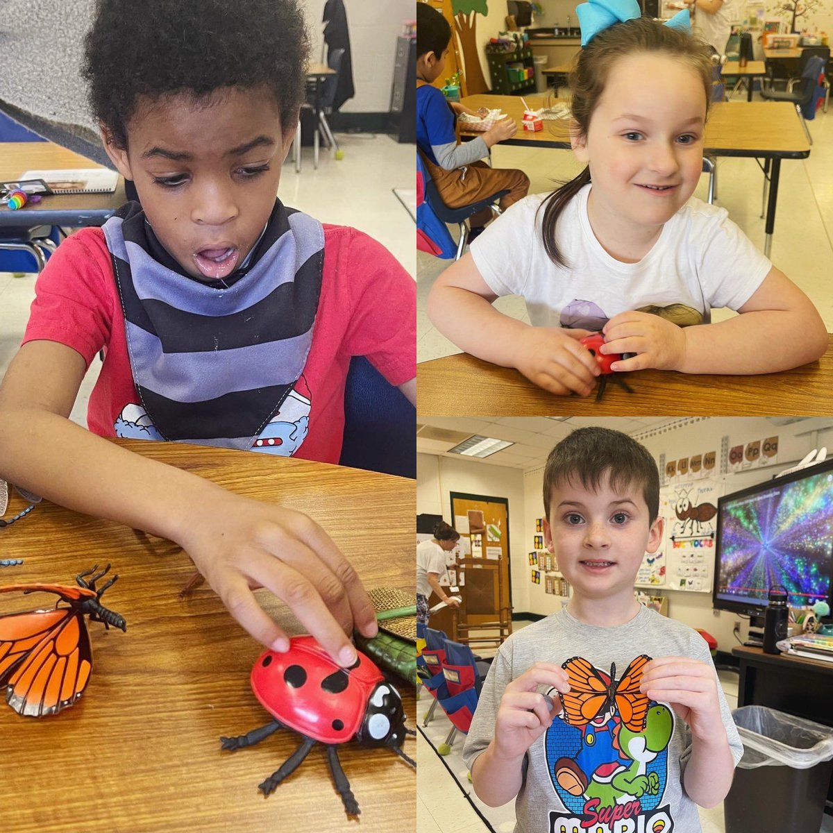 Kara Kusterman tweet media