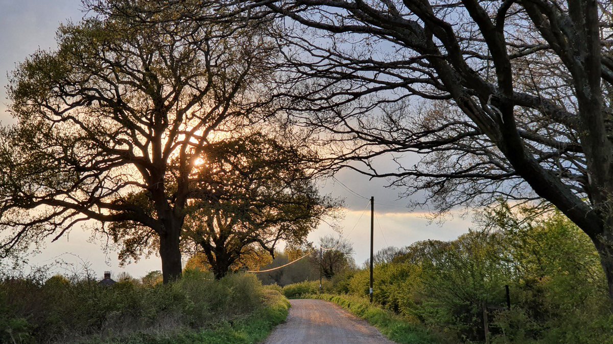 Beautiful shots from local walkers of this grade II arable / green belt land that we’re working hard to keep safe from destructive park home development #brownfieldfirst #outdoorsforall