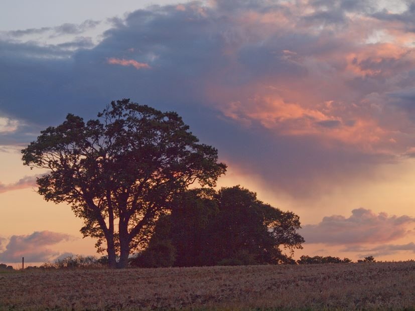 WGProtection's tweet photo. Beautiful shots from local walkers of this grade II arable / green belt land that we’re working hard to keep safe from destructive park home development #brownfieldfirst #outdoorsforall https://t.co/SX3o5wF4TY