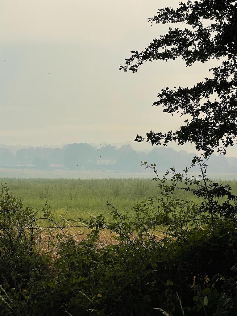 WGProtection's tweet photo. Beautiful shots from local walkers of this grade II arable / green belt land that we’re working hard to keep safe from destructive park home development #brownfieldfirst #outdoorsforall https://t.co/SX3o5wF4TY