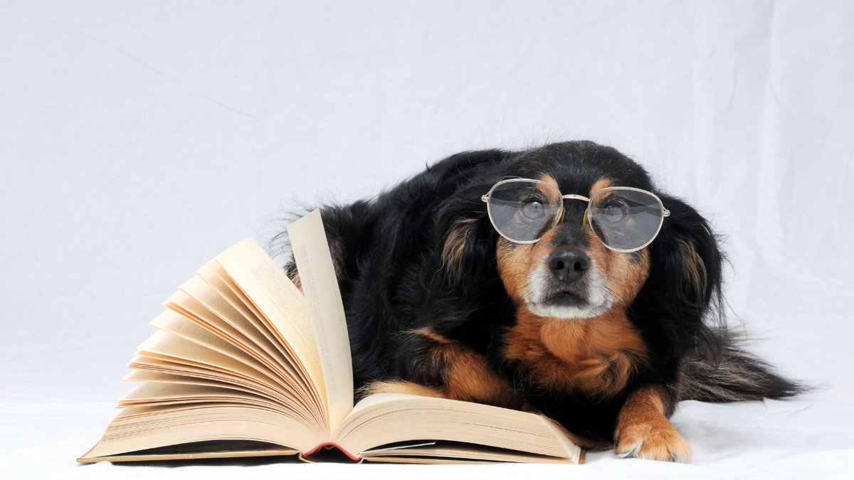 It's World Book Day 📚

Check out our book station in the Home Room and help yourself to a new book. Donations to the book station are also welcome ♻️

#WorldBookDay #NurturLife #BookLovers