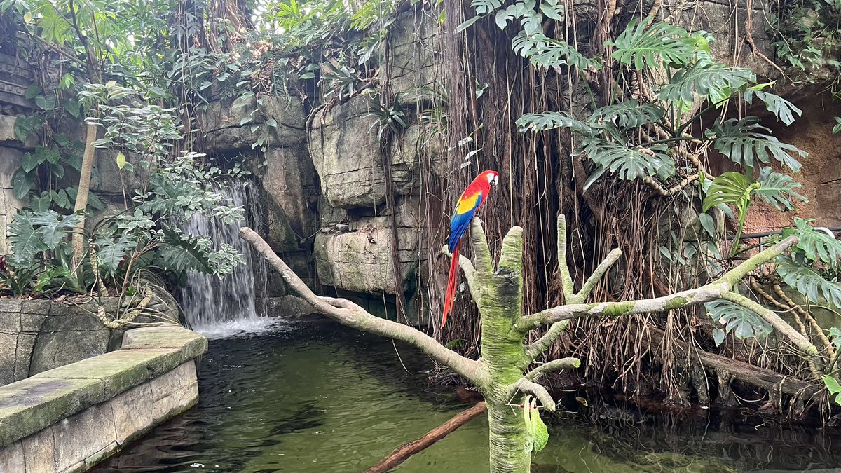 ℬ𝓇𝒶𝓃𝒹𝓎 𝒥ℴ𝓃ℯ𝓈 tweet media