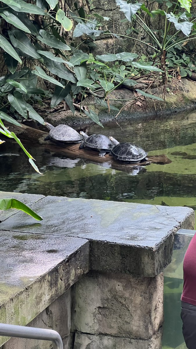 ℬ𝓇𝒶𝓃𝒹𝓎 𝒥ℴ𝓃ℯ𝓈 tweet media