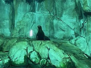 ℬ𝓇𝒶𝓃𝒹𝓎 𝒥ℴ𝓃ℯ𝓈 tweet media