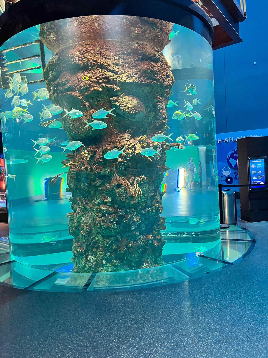 ℬ𝓇𝒶𝓃𝒹𝓎 𝒥ℴ𝓃ℯ𝓈 tweet media