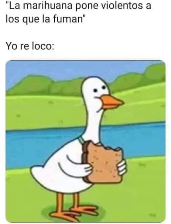 BreakinGatos's tweet photo. Reloco https://t.co/psR9VZKtBL