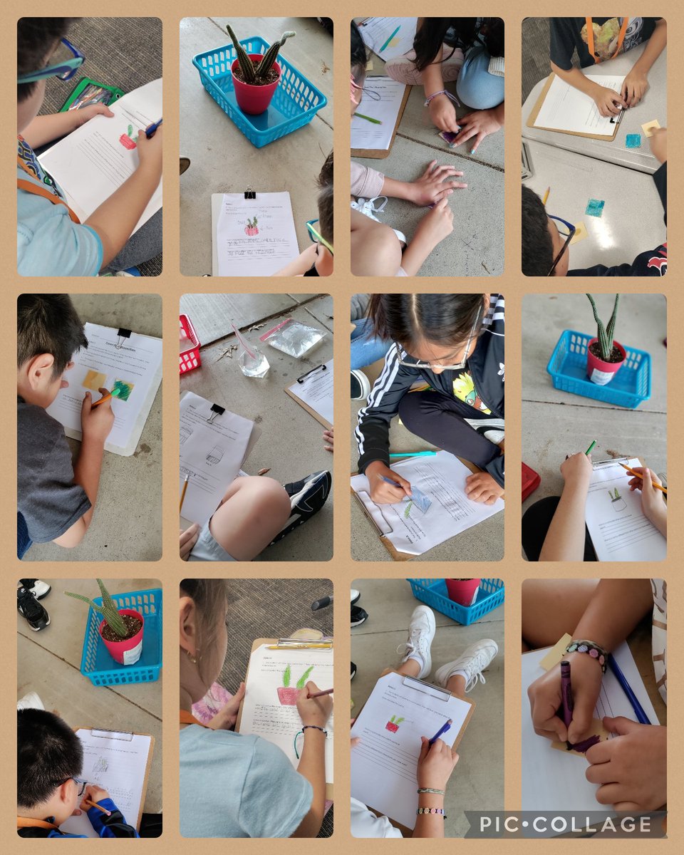MMichelle425's tweet image. Students observed various desert plant structures today in stations!🌵 @CFISDHolmsley @CFISDScience @joanne_gillock @JenniferLDuke @FlanaganPam