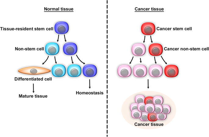 Core Biogenesis tweet media