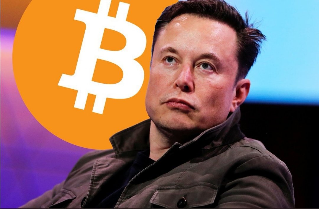 TechBecky1's tweet image. Jack Dorsey just launched a Twitter competitor and says that he nearly launched #bitcoin #LightningNetwork tips on Twitter - pressure is on between #ElonMusk &amp;amp; #JackDorsey  to win the crypto tip race!