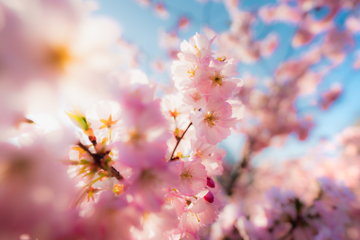 wecuk_pray's tweet photo. WEC Pray March 2023 - https://t.co/aU0uBsmO6I https://t.co/UgVf6uYnLH