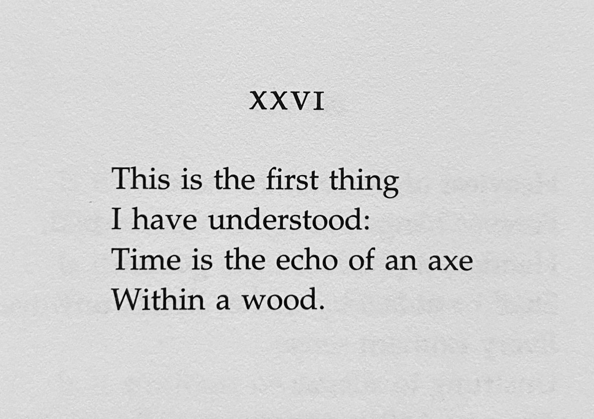 Dr. Maya C. Popa tweet media