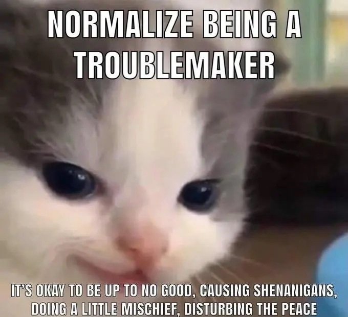 RayApollo (@rayapollo) on Twitter photo 