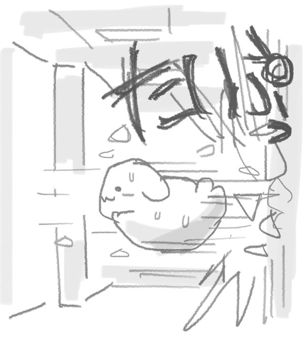 壁を突き破るたいぷらいたー🐶 