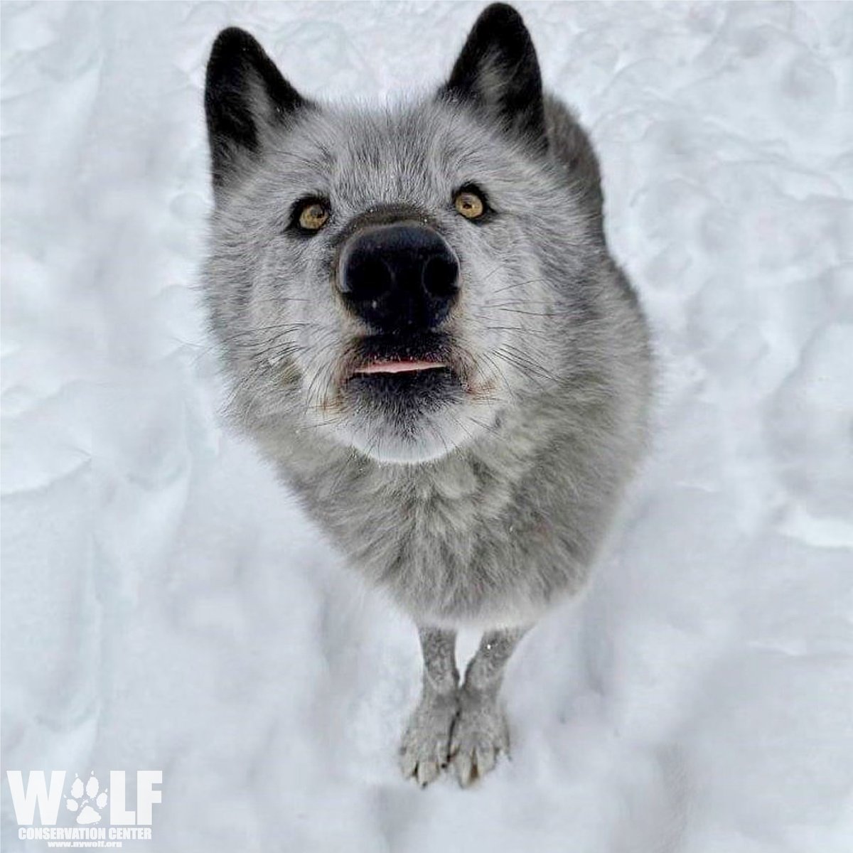 Oh, hello there 👋