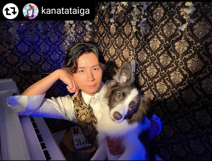 🐵🍁ちびたん🍁🐵 (@chibitan_0_0_) / Posts / X