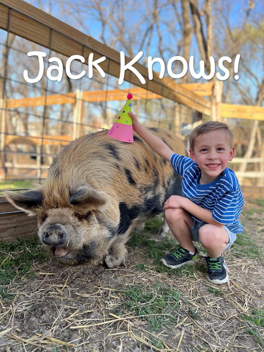 HFMuseum's tweet photo. "When you give a PIG a Party, she's going to want a party hat." 
Have you registered for our PIG Party? It's kind of a PIG deal. As a matter of fact, it's a SOW-prise party. Click here to get your tickets TODAY https://t.co/s3R7OCFfpt
#LittleFarmerFriday #BringaPignic #noswining https://t.co/SNy2Qj6COK