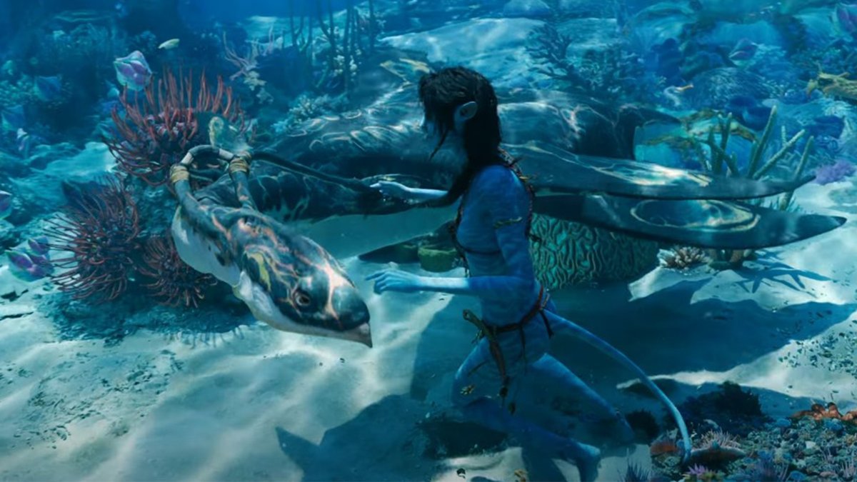 TeamCastagnet's tweet photo. KIRI SE LIE AVEC UN ILU.
🌊🌊🌊
Film Avatar 2: La Voie de l'Eau (2022).
#Avatar2 #Avatar #Avatar2022 #Kiri #Navi #AvatarLaVoieDeLEau #Avatar2LaVoieDeLEau #LaVoieDeLEau #Film #Film2022 #ScienceFiction #JamesCameron #LightstormEntertainment #20thCenturyStudios #Cinéma #Ilu #Pandora https://t.co/NuiKy99ek1