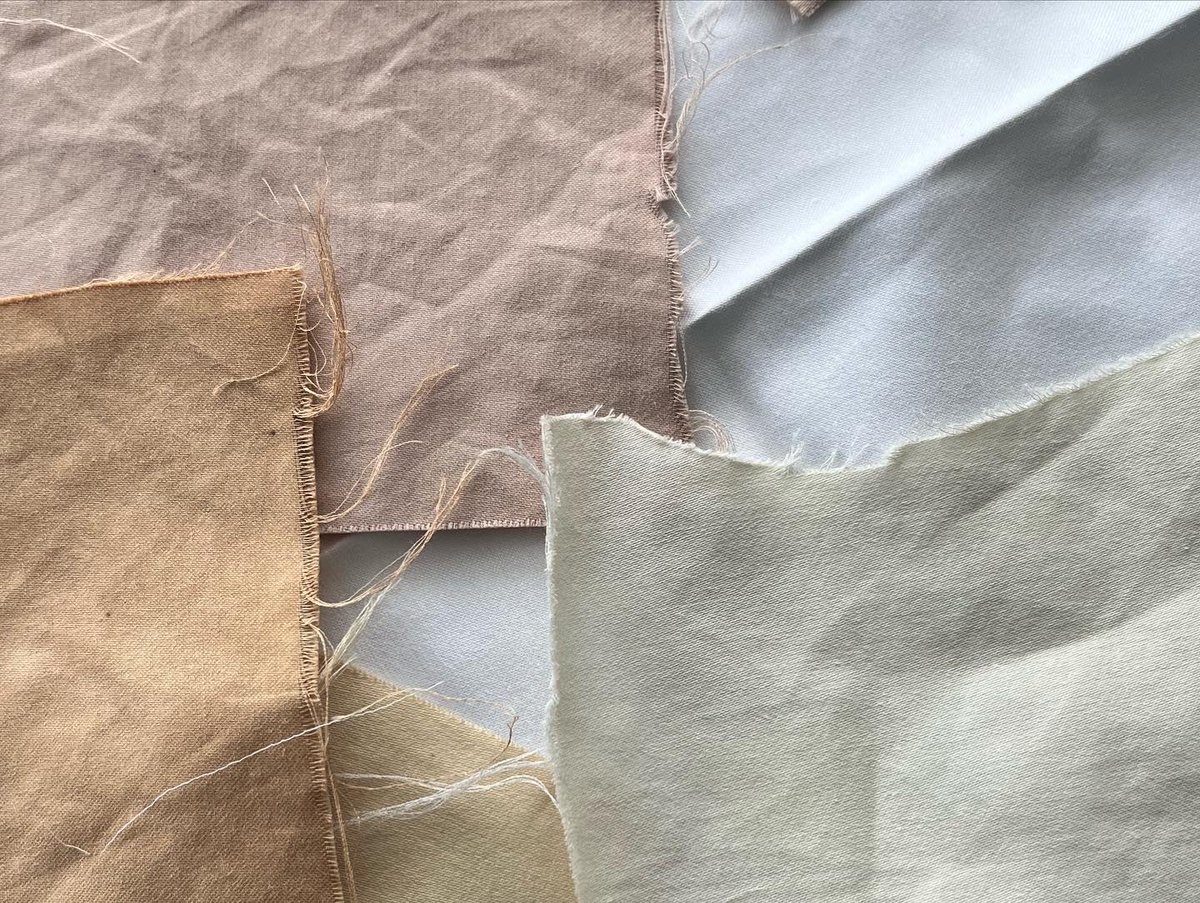 Renée Duclos 🇨🇦 tweet media