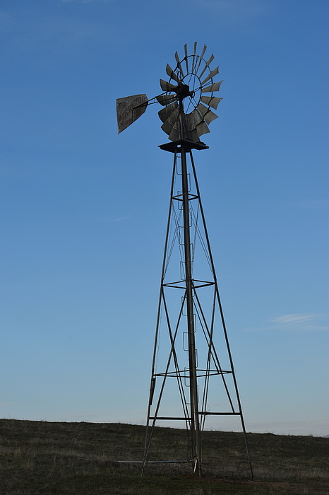 New artwork for sale! - "Weathercock" - pixels.com/featured/weath… <a href="/shoppixels/">Pixels</a>