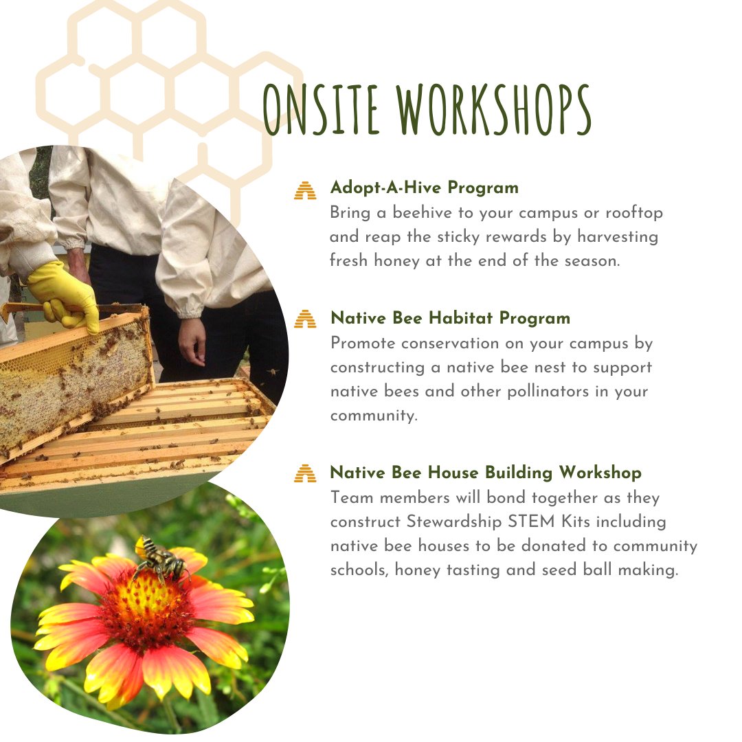 Planet Bee tweet media