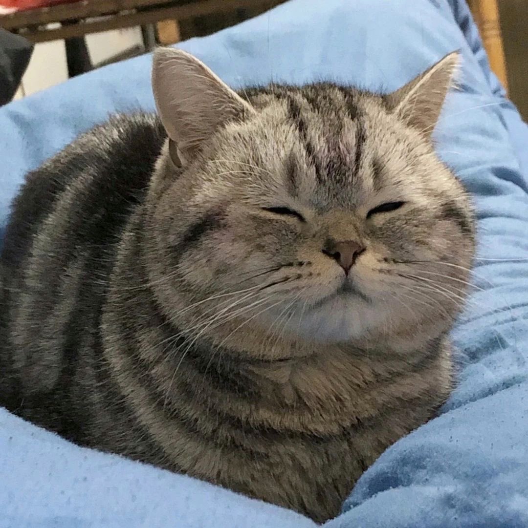 กูที่โดนปลุกด้วยการเปิดไฟ :