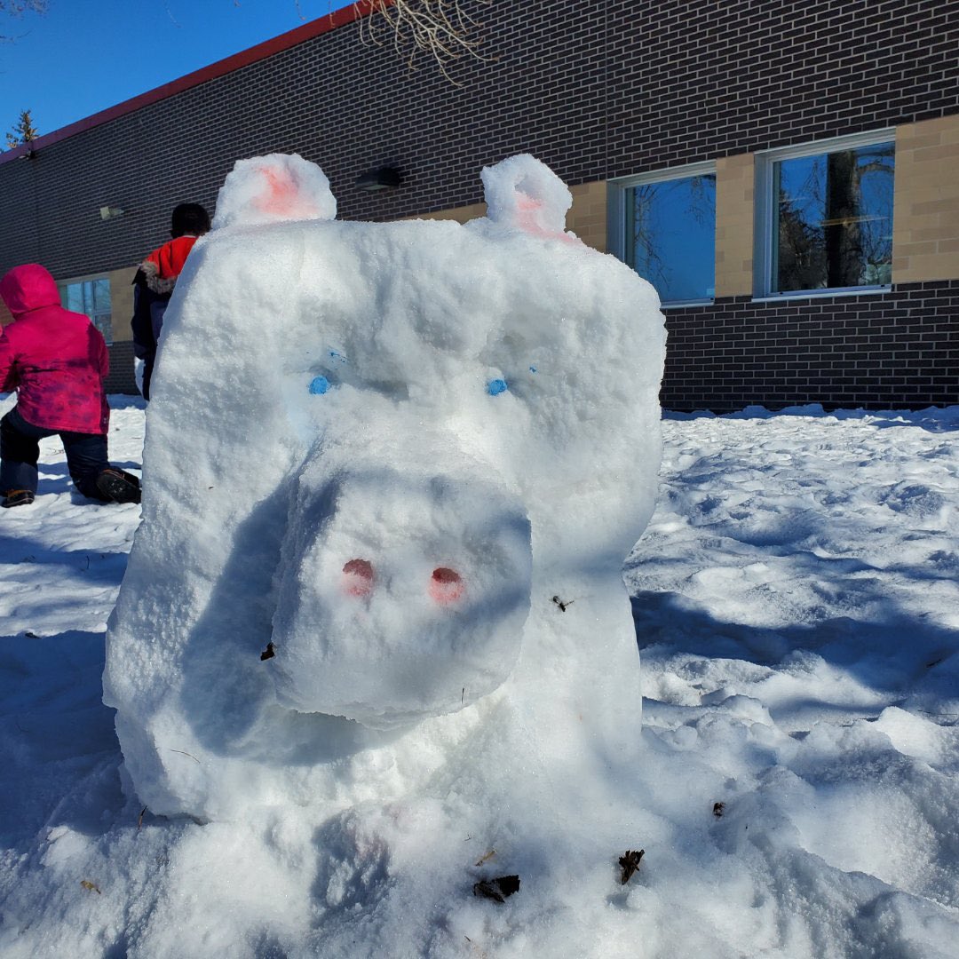 ⛄️#lastsnowmanwinnipeg 
Introducing Snort the Pig! 
Students used collaboration, creativity, communication, critical thinking and enjoyed our winter climate!
For every posting, money is donated to climate change initiatives!🌍