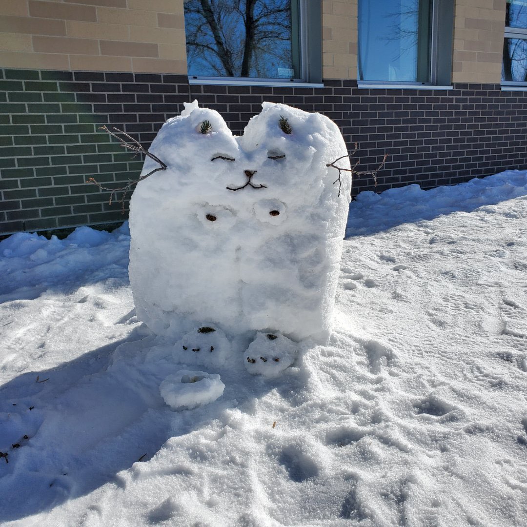 ⛄️#lastsnowmanwinnipeg 
This is Snowy the Cat! 
Students used collaboration, creativity, communication, critical thinking and enjoyed our winter climate!
For every posting, money is donated to climate change initiatives!🌍