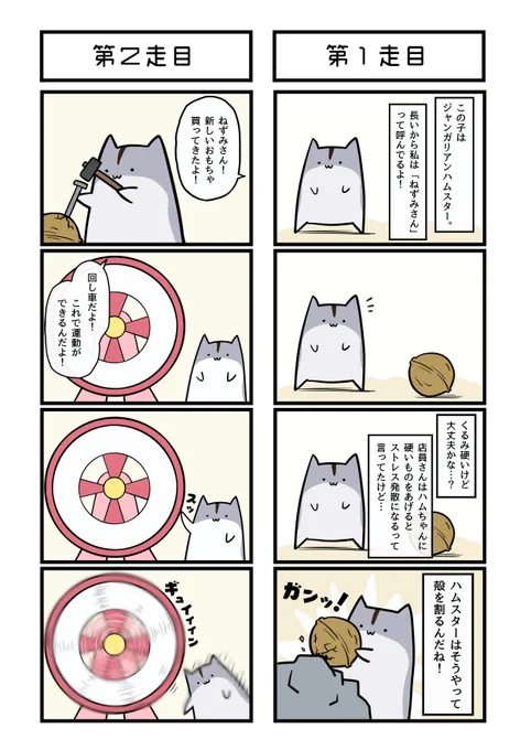 ハムスターとのほのぼの生活 