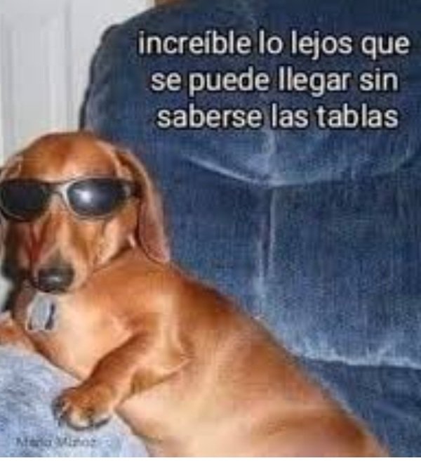 EliGinepro's tweet photo. Como hice llegar a 5to año de facultad? ni idea https://t.co/UT7M1KXdZA
