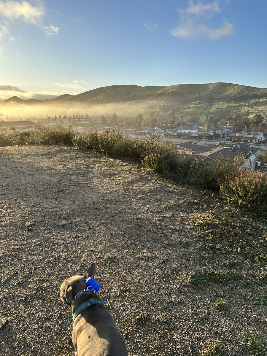 mayajbrooks's tweet photo. The views from this mornings walk of gratitude ❤️🐾🙏🏼 appreciating the journey and discovering what’s on the other side of the mountain ❤️ and I count it all joy! https://t.co/canw7aYjAD