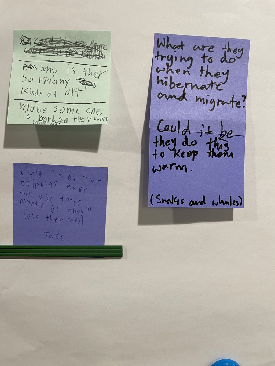 Developing theories has always been one of my favorite sessions in Reader’s Workshop. You just see those little scientists sparkle with ideas! #CognitaWay #StamfordHK #StamfordShines
