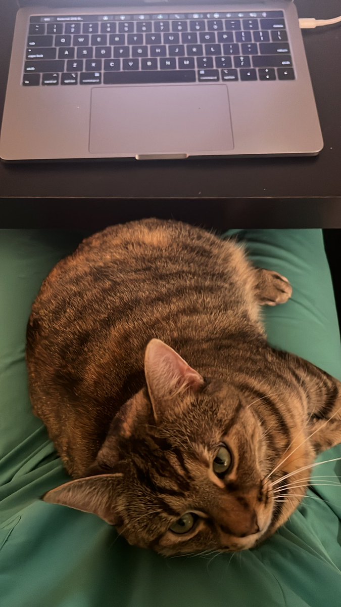 Lil notes and pre-chart homie