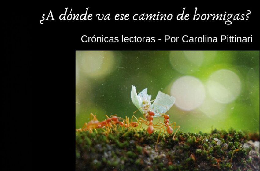 ElArbolCultura's tweet image. Ya te enteraste? Inauguramos sección!!!?
elarbolcultura.com.ar/iniciar-una-nu…
#cronicaslectoras #literatura #elarbolcultura