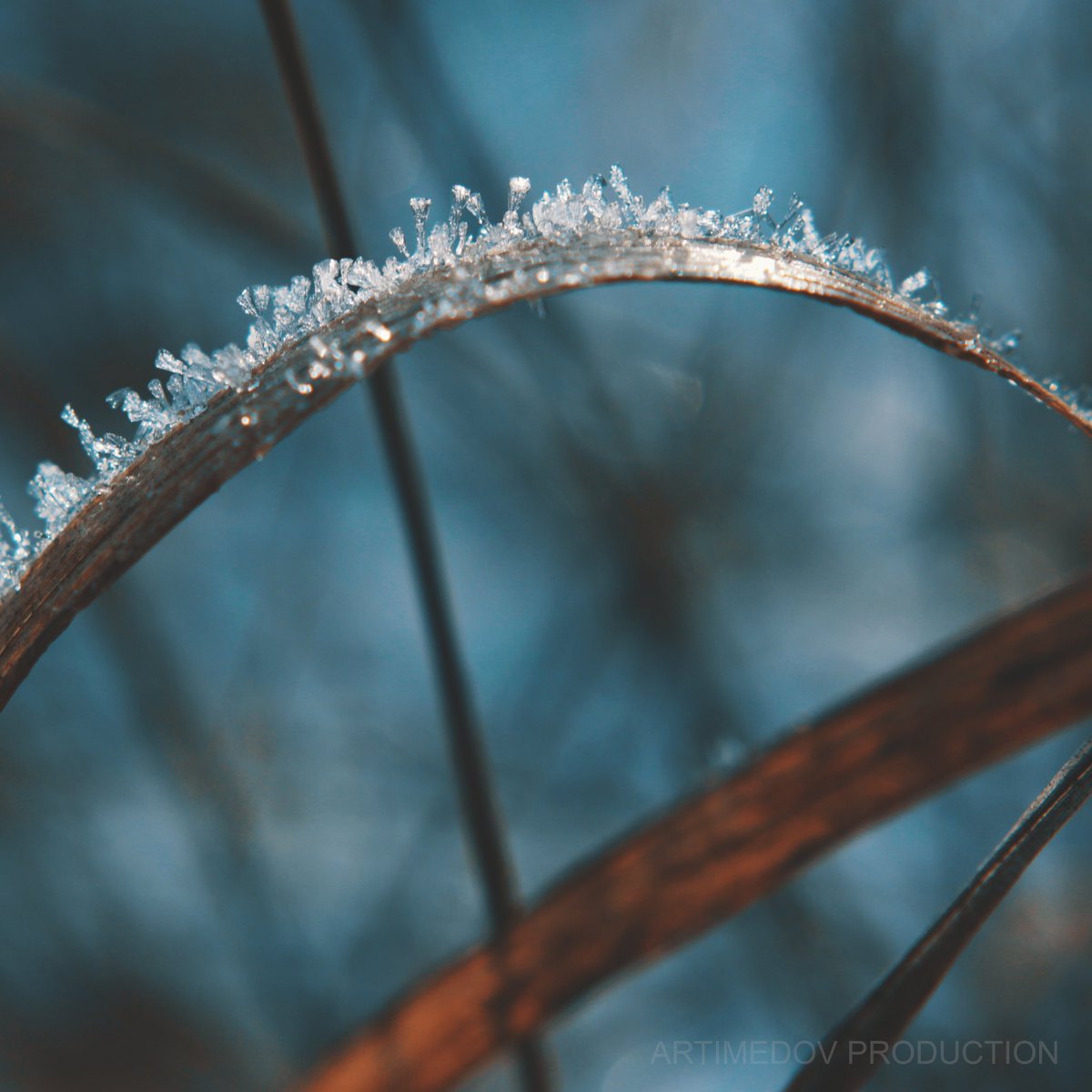 artimedov's tweet image. Let’s find some reconciling bridges: NFT from mera.wlbl.xyz digital collection 🌄 exhibited via @rarible by @Artimedov for investment.

 #nft #nftart #nftartist #nftdrop #art #cryptoart #raribleart #digitalart #cryptoartbuyers #nftphoto #nfts #cryptomarket #artoftheday