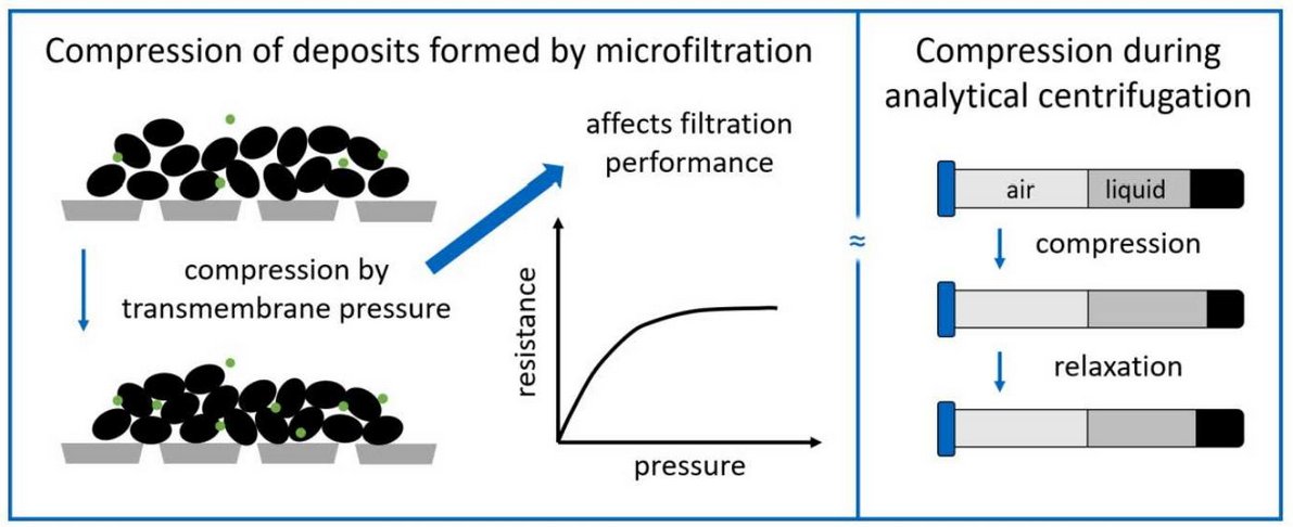 Membranes_MDPI's tweet image. #Membranes
🔖Highly Cited Paper in 2022
📌"Determination of #Compressibility and Relaxation Behavior of #Yeast Cell Sediments by Analytical #Centrifugation and Comparison with Deposit Formation on Membrane Surfaces" by Maria E. Weinberger et al.
👉Read via mdpi.com/2077-0375/12/6…