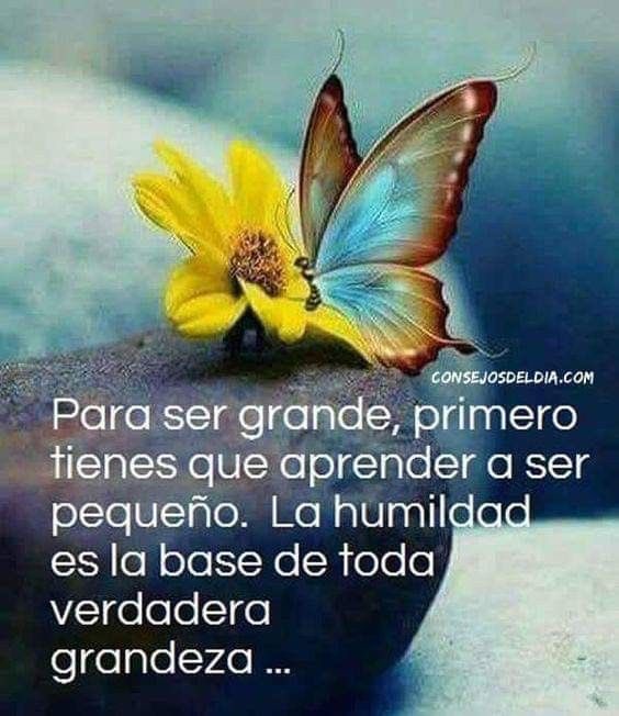 Matute02022022's tweet photo. Buenas noches 🌙 

Que hayan pasado un muy bonito día ☺️

Linda noche y mejor descanso 🫶

#SiguemeYTeSigo https://t.co/XybR30xcZb