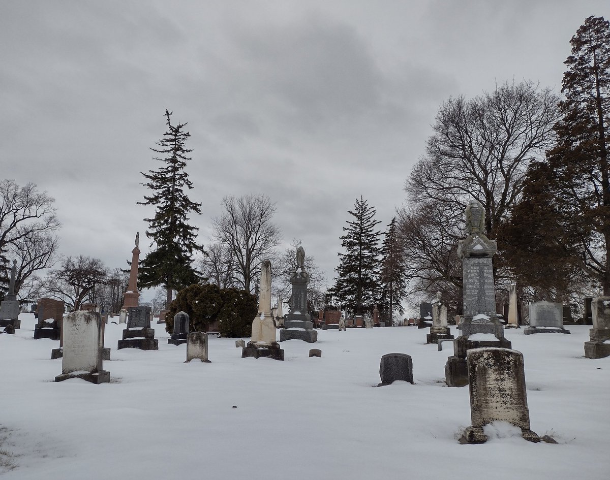 “Winter kept us warm, covering / Earth in forgetful snow[.]” - T.S. Eliot