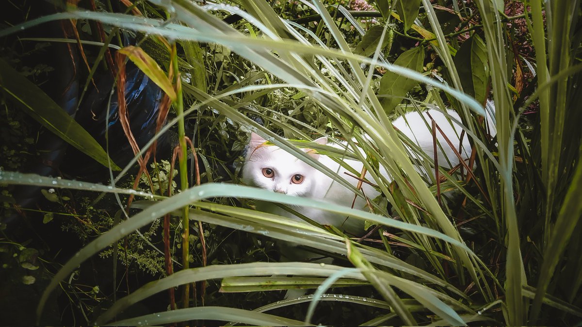 exzanns's tweet photo. Udah jadi emak2 masih aja Introvert https://t.co/exPmA9yBRA
