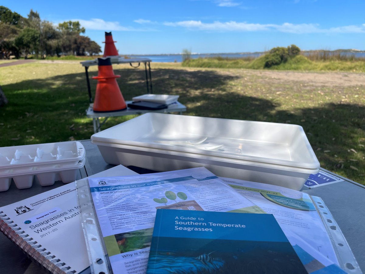 DWER_WA's tweet photo. Our #AquaticScience team celebrated the first @UN #WorldSeagrassDay with students from Manea Senior College at the #Leschenault estuary. We worked together to design and conduct a #seagrass study. 

More about seagrasses in #WAestuaries :  https://t.co/YRIMdZ0OvX

#DWERatWork https://t.co/4CCvjQ9EC1