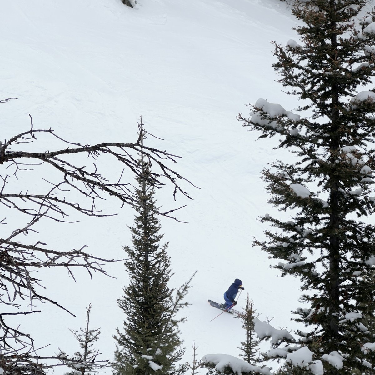 skithebeav's tweet photo. Which is better: skiing alone or with family/friends? No matter how you love to slide down our mountains, you're always welcome here at The Beav!
#MTNlife #skithebeav #oneplankortwowevegotloveforyou #skiutah https://t.co/dSb5sXkS0L
