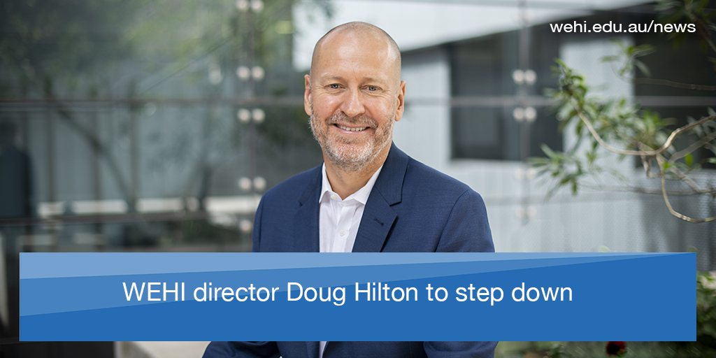WEHI president Jane Hemstritch AO has today announced that <a href="/WEHI_Director/">WEHI Director</a> Professor Doug Hilton AO has decided to step down from his role, after almost four decades of unwavering dedication to WEHI and 14 years as director.  

More: wehi.edu.au/news/wehi-dire…