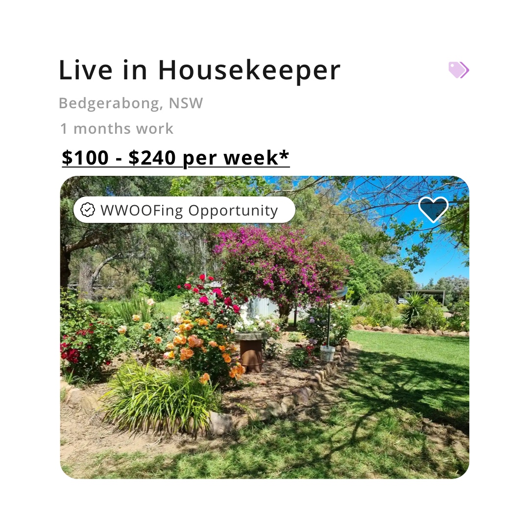 waytreeofficial's tweet photo. *** DON'T PAY FOR JOB ADS *** 
➡️  https://t.co/ajE80xfzQD
.
❤️ Tag a grower who needs to see this.
#ausag #agchatoz #ausagtech #housekeeper #bedgerbong #nsw https://t.co/CNzjROYMKB