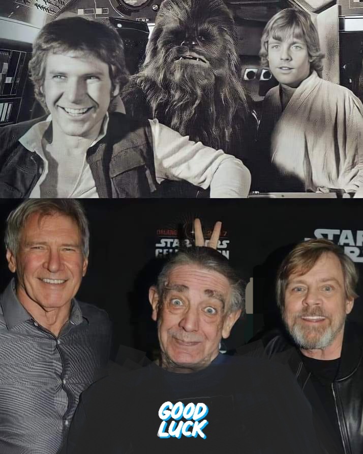 RT @AnthonyLaser8: Harrison Ford, Peter Mayhew and Mark Hamill... https://t.co/DdqWqt7TYA