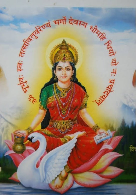 ಶ್ರೀಹಸ್ತಿನಿ🇮🇳(Modi ka Parivar) tweet media