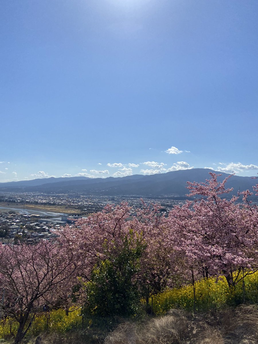 Blue S.I.B ☀️🌊🌊🌊🤙🏾 tweet media